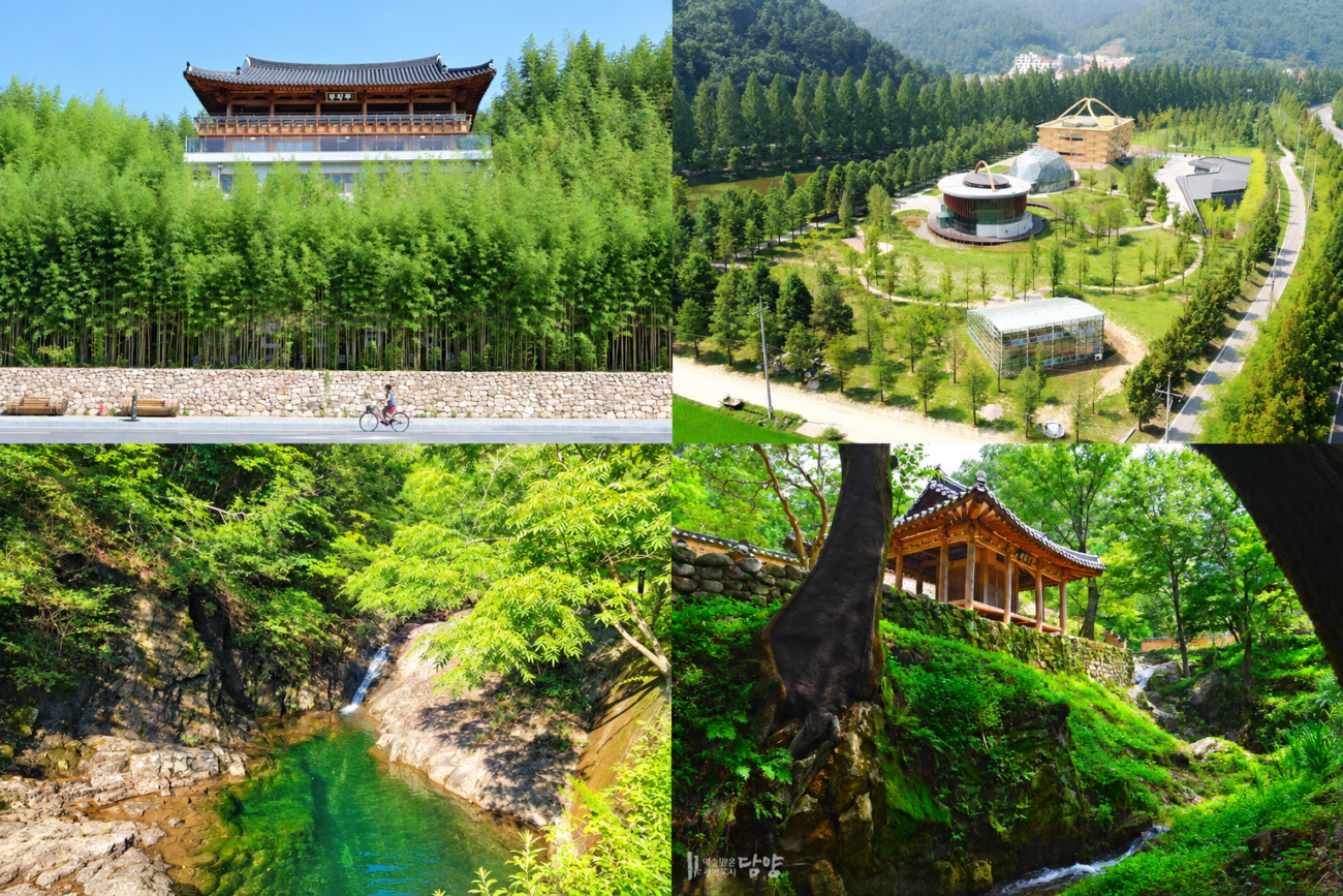 담양군, 추석 당일 죽녹원·소쇄원·메타세쿼이아랜드 무료 개방