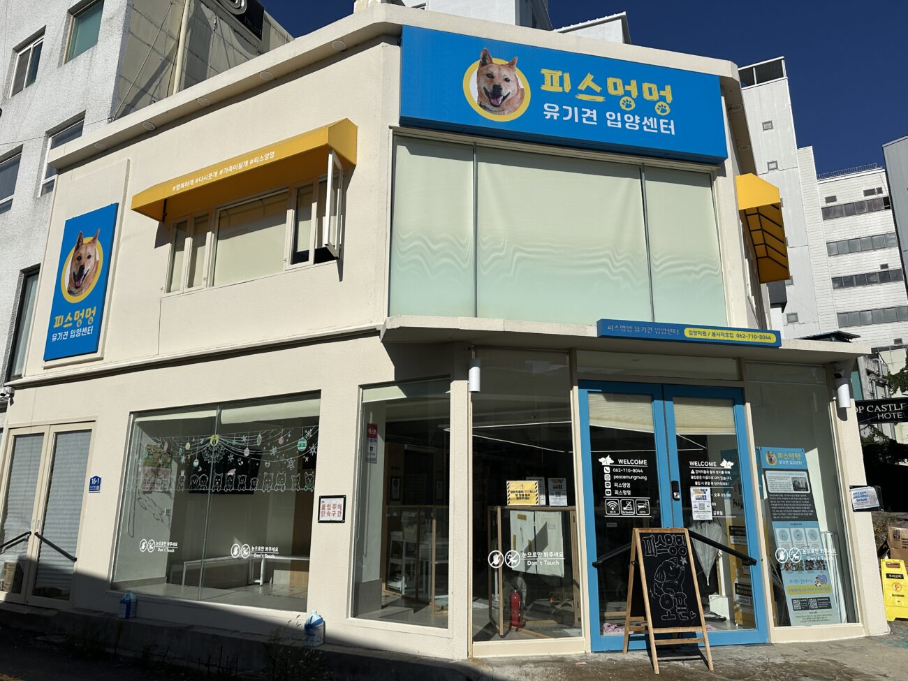 KIA 김도영·박재현 선수, 동구 ‘피스멍멍’에 따뜻한 나눔