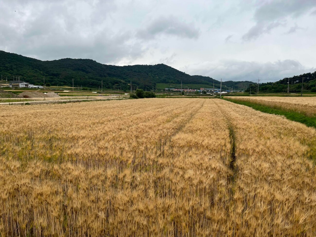 영광군, 기술보급 블렌딩 협력모델 공모 선정…사업비 10억 원 확보