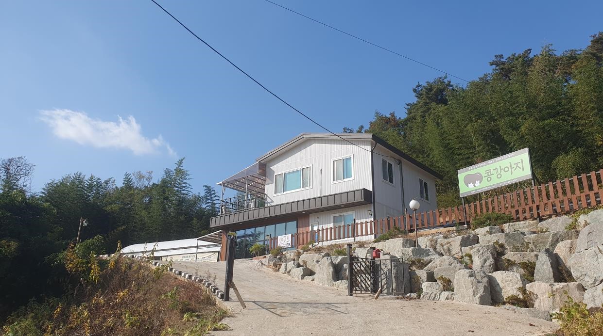 함평군, 치유농업 육성 성과…나산면 콩강아지농장
