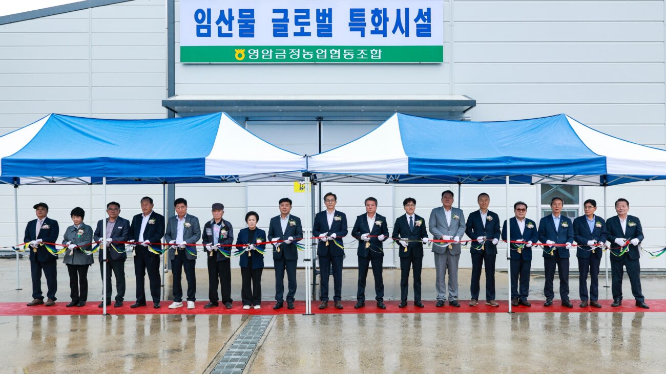 영암대봉감 수출 기반 마련, 금정농협 특화시설 준공